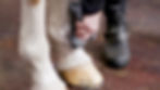 Miniaturebillede: Intensive White