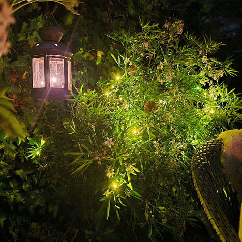 A garden design with lush green planting at night. Garden lights are lanterns and solar fairy lights.