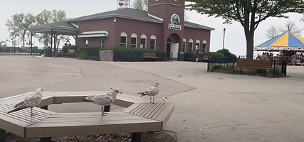 Screenshot 2025-06-24 at 17.46.49.png