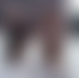 City of Death (1979) Review and its timey wimey structure