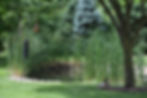 Coulter Family Dentistry