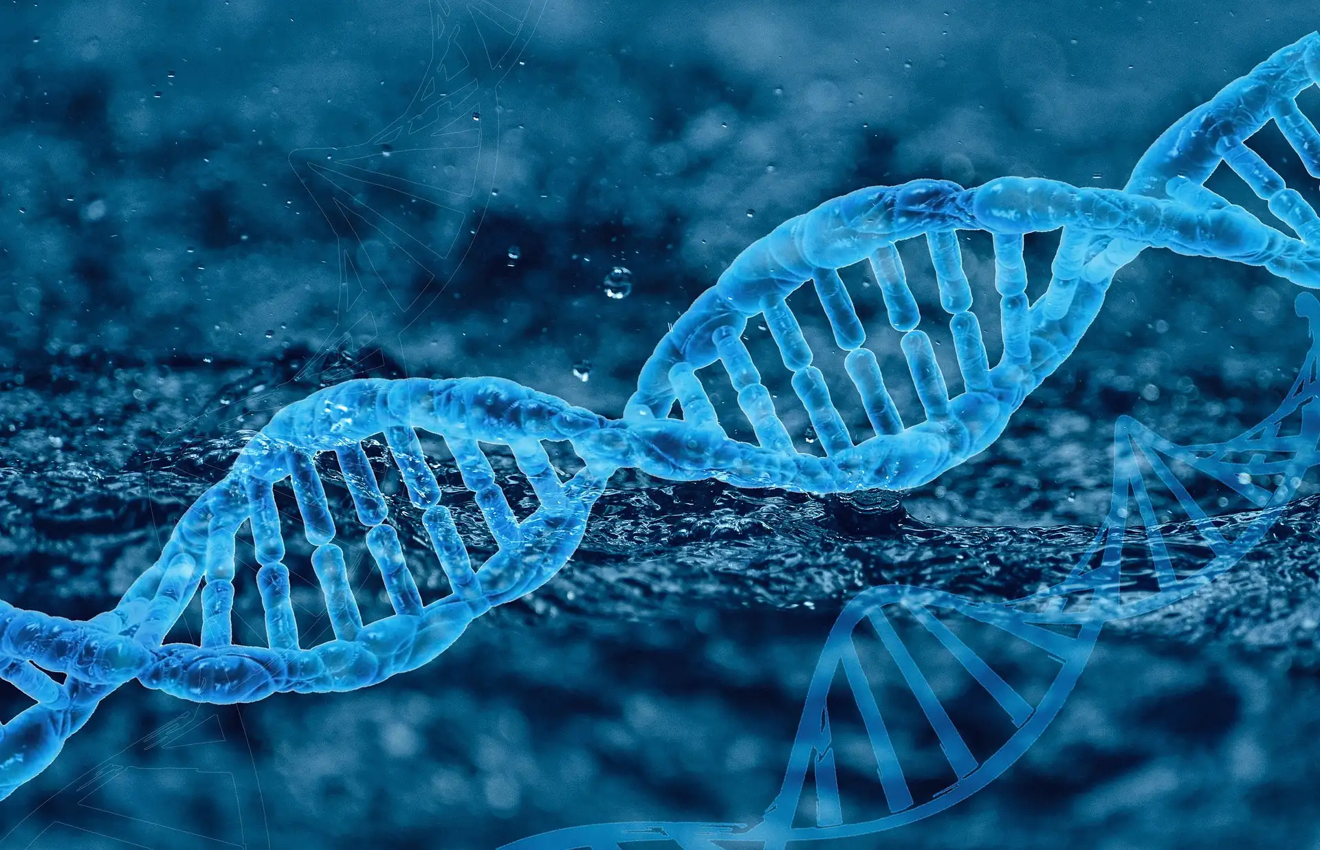 dna-blau.webp