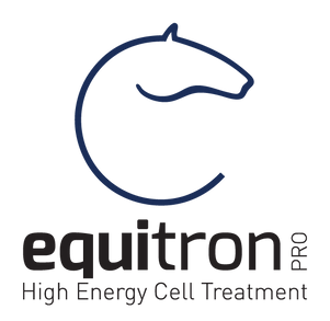 equitron_Logo_blau.png