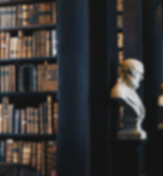 Traditional Library