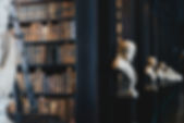 Traditional Library