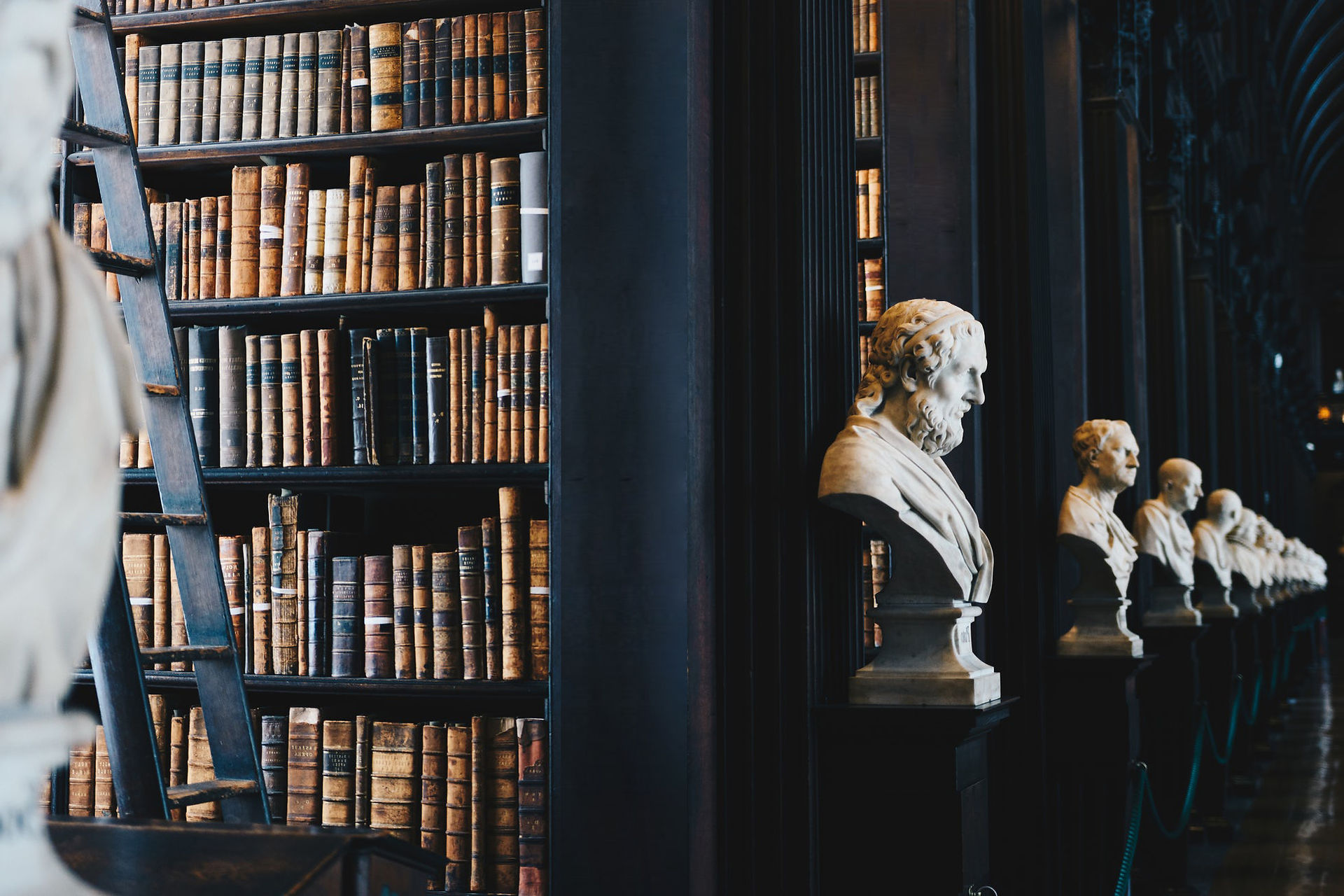 Dark academia modern bust sculpture library