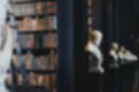 Traditional Library