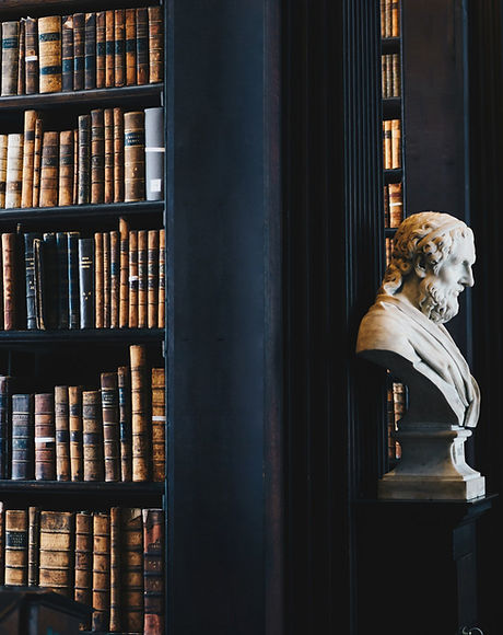 Traditional Library