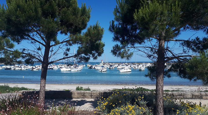 le port de Saint-Jacques