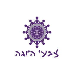 Branding Identity Design