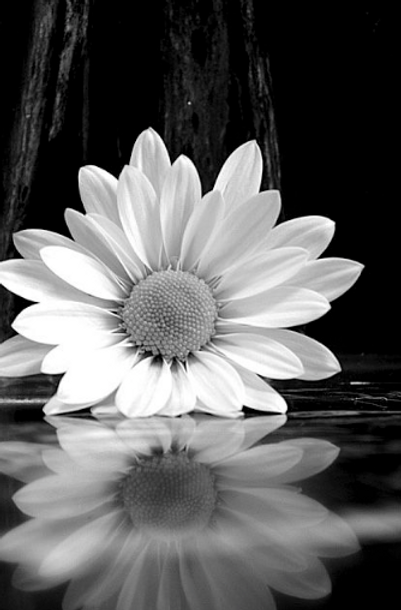 Screen Shot 2018-09-04 at 5.21.47 PM.png