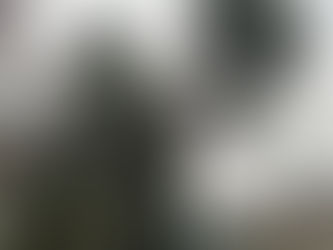 Tala de árboles en Madrid de 12 Cupressus arizonica mediante trepa y apeos controlados