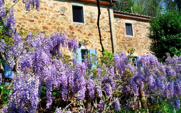 Agriturismo B&B Tananei Marliana vicino Montecatini Terme Pistoia Lucca Firenze Toscana