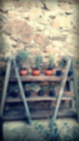 Tananei Tuscan farmhouse - Marliana, Pistoia