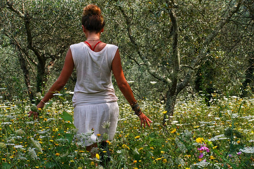 Walking in the olive grove immersed by hundreds of flowers