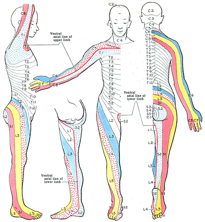 Grant_1962_663.png