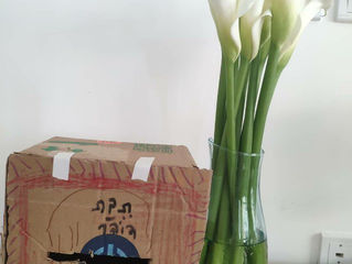 דואר משפחתי