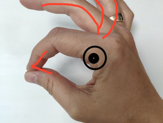 קוקוריקו תרנגול