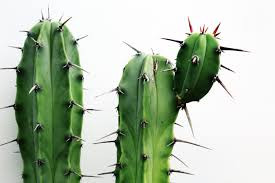 אמא מגרד לי!!