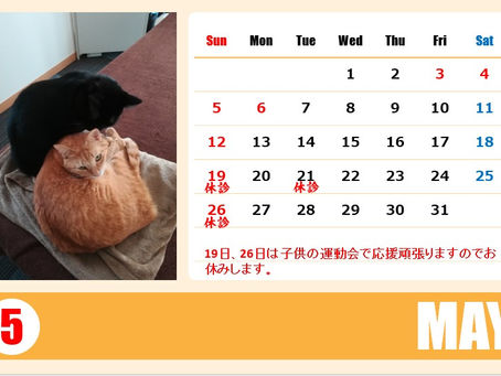 5月のお休み