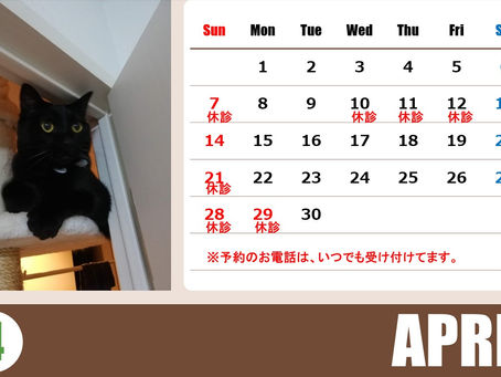 4月のお休み