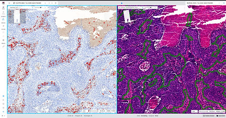 Screen Shot 2022-04-01 at 18.53_edited.jpg
