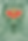 510F7E3C-04EA-4E68-AF2B-C9094B12F87F.png