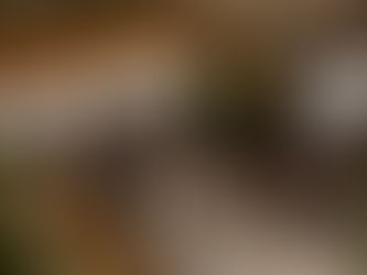 Confinews épisode 5