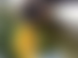 É difícil definir amigo