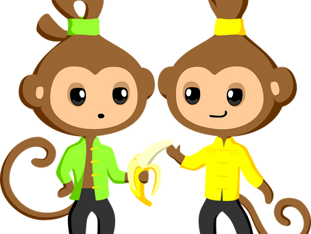 O MACACO E SUA COMPANHEIRA COMPLICADA