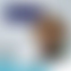 Coluna e envelhecimento: como manter a saúde na terceira idade