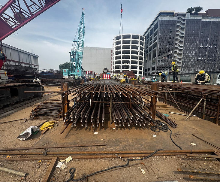 1Featured - BACHY Contract P103 CRL-Punggol Extension D-Wall3.jpeg