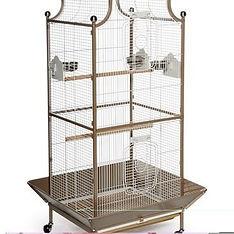 How Big is your Birds Cage_02.jpg