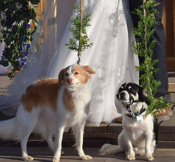 The Vow Keeper - Pioneertown Wedding Officiant - Photographer - Pioneertown, Ca.