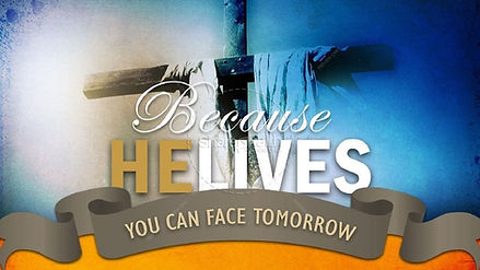 original - 2023-11-10T102943.534.jfif