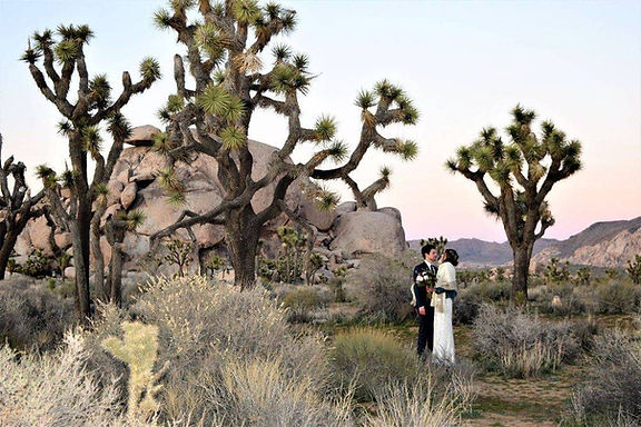 The Vow Keeper | Cap Rock - Joshua Tree National Park - Wedding - Elopement - Wedding Officiant - Photographer - Joshua Tree, CA.