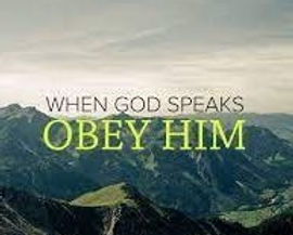 original - 2023-11-02T201637.115.jfif