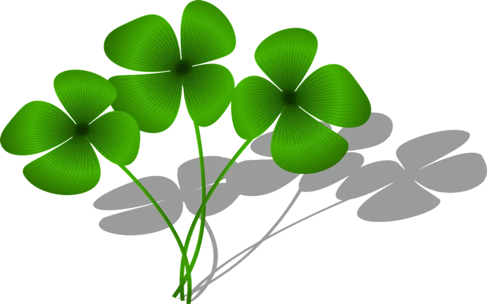 io_v1_uploads_b7daf5a5-afb8-4caa-a8b6-66a1967116e1_110_.webp