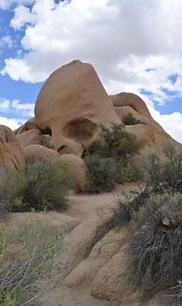 The Vow Keeper | Wedding Officiant - Wedding Photographer - Joshua Tree, CA.