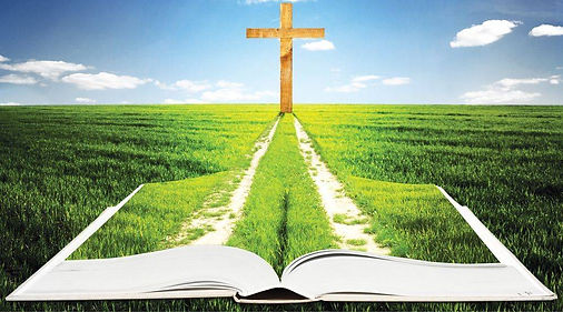 original - 2023-11-09T202918.413.jfif