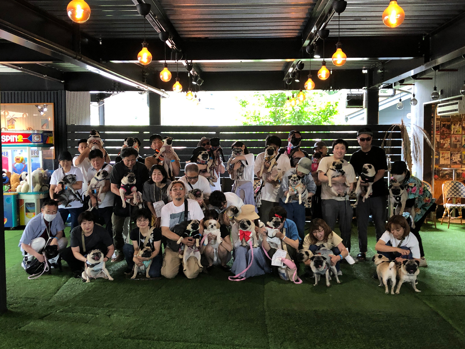 pug-2 | HOT DOG RUN CHIRO&PERO