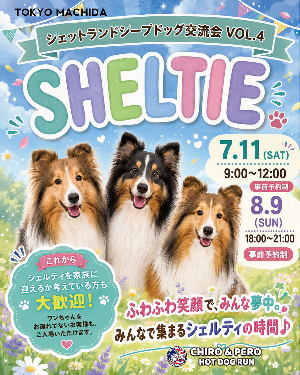 シェルティー交流会Vol.4
