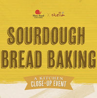 SFLT-03 Sourdough Bread Baking Teasers-01.jpg