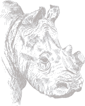 rhino_edited_edited_edited_edited.png
