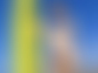 Celebwear Glitch (penis TF)