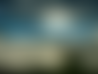 Surrender. Acceptance. Discovery