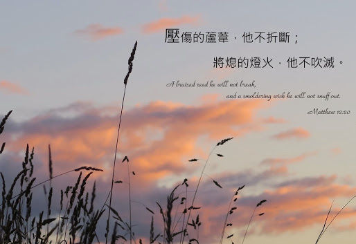 每個人都值得再被看一眼