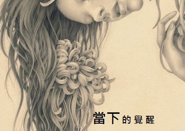 無聲之語.Stillness Speaks