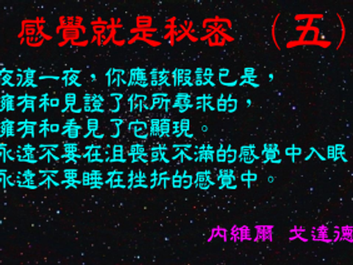 感覺就是秘密(5)