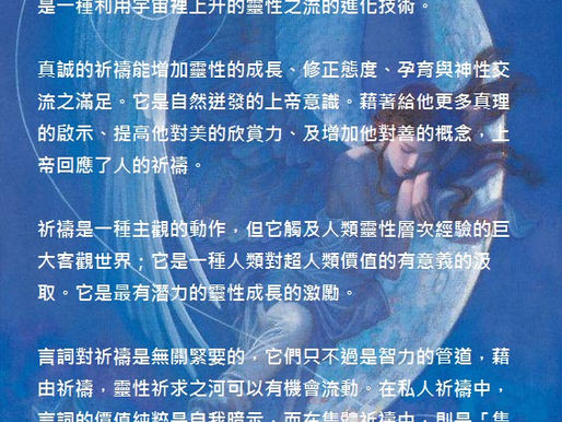差異與真理-關於耶穌的信息
